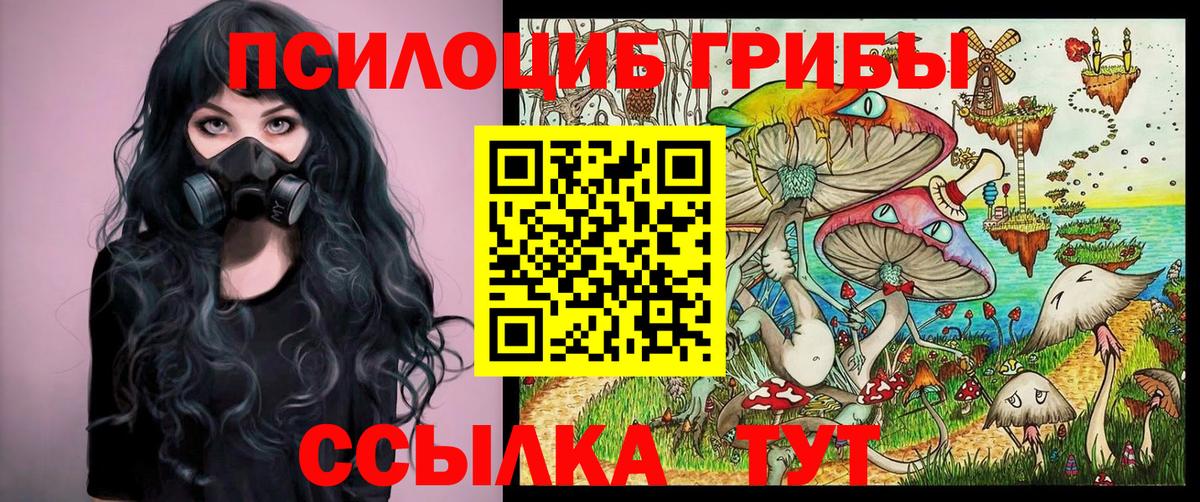 Курчалой  Псилоцибиновые грибы прущие грибы  где найти наркотики  Вход с VPN 