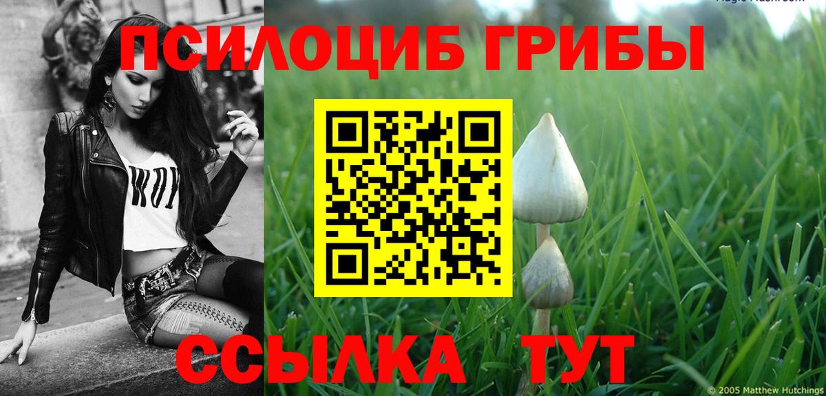 Галлюциногенные грибы прущие грибы Курчалой